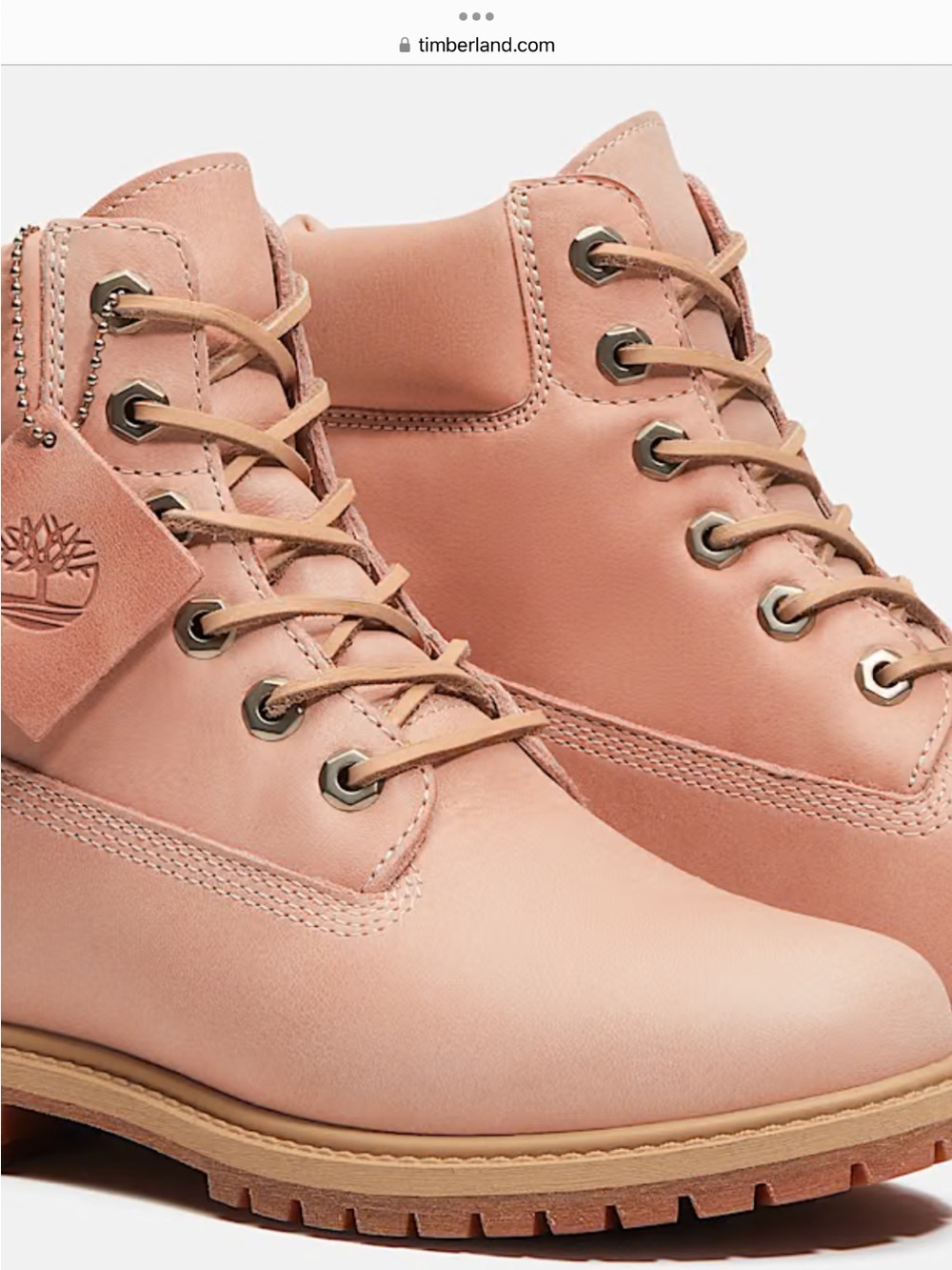 Timberland Premium 6” Boots in Burgundy Leather